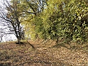 Campagna in autunno 3251